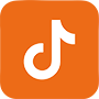 Logo von TikTok mit Link zur Burchard Führer Gruppe TikTok Seite
